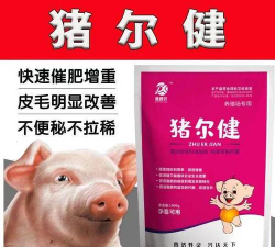 猪尔健多少钱一 猪尔健多少钱一