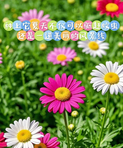 春天适合播种哪些植物 春天适合播种哪些植物