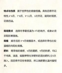 如何给柠檬树换盆 如何给柠檬树换盆