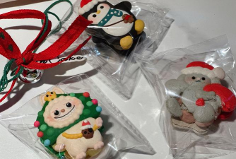 南洋杉叶子太长如何修剪 南洋杉叶子太长如何修剪