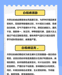 植物白粉病是什么原因 植物白粉病是什么原因