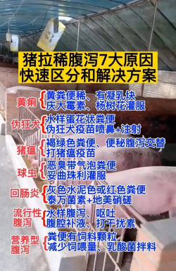 育肥猪便秘 怎么回事 育肥猪便秘 怎么回事