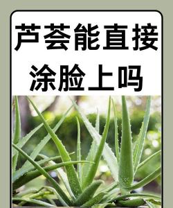 生芦荟可以直接擦脸吗 生芦荟可以直接擦脸吗