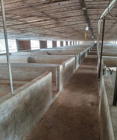 猪舍地面用什么 猪舍地面用什么