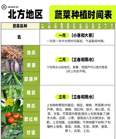 北方十月份种什么 北方十月份种什么