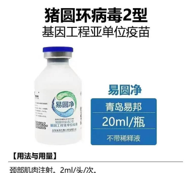 圆环苗什么价位 圆环苗什么价位