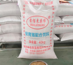 喂猪的精料是什么 喂猪的精料是什么