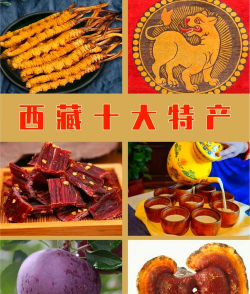 拉萨主要农作物简介 拉萨主要农作物简介