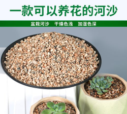 种花粗沙多少直径 种花粗沙多少直径