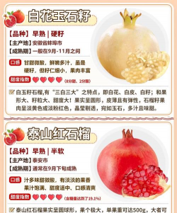 怎么判断是不是软籽石榴 怎么判断是不是软籽石榴