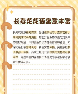 长寿花的花语是什么 长寿花的花语是什么