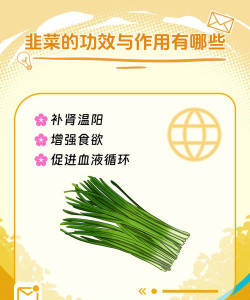 吃韭菜有什么好处 吃韭菜有什么好处