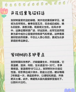 发财树开花预示什么 发财树开花预示什么