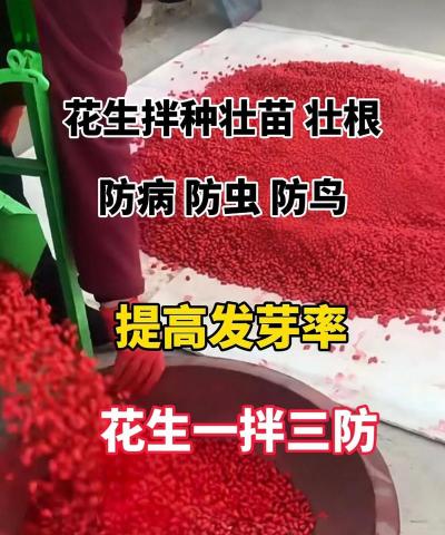 种植花生怎么防鸟儿 种植花生怎么防鸟儿