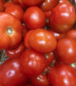 圣女果是转基因吗 圣女果是转基因吗