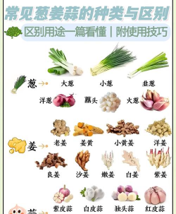 葱姜蒜是荤菜吗 葱姜蒜是荤菜吗