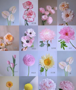 块状花材有哪些花 块状花材有哪些花