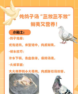鸽子调理顺序和用药 鸽子调理顺序和用药
