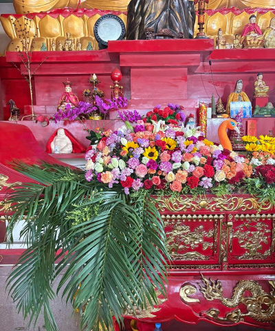 佛教供花有哪些花 佛教供花有哪些花