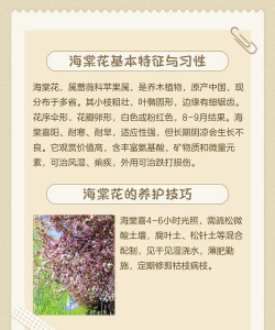 如何使海棠开花 如何使海棠开花