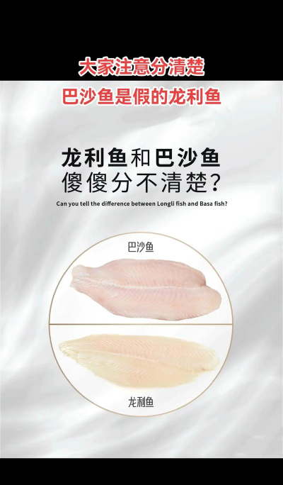 龙利鱼和巴沙鱼是一种鱼吗 龙利鱼和巴沙鱼是一种鱼吗