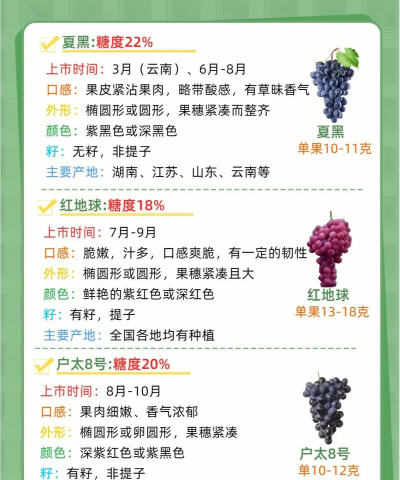 葡萄颜色有几种颜色 葡萄颜色有几种颜色