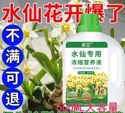 水仙要浇什么肥 水仙要浇什么肥