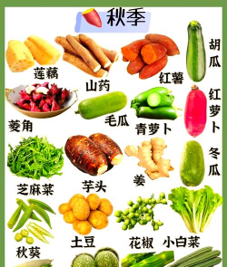 秋冬季节种什么蔬菜 秋冬季节种什么蔬菜