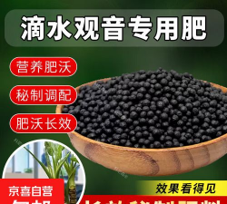 滴水观音浇什么肥 滴水观音浇什么肥