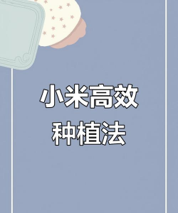 种植小米要怎么种植 种植小米要怎么种植