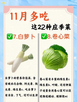 11月有什么蔬菜 11月有什么蔬菜