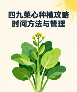 种植四九菜心怎么种植好 种植四九菜心怎么种植好