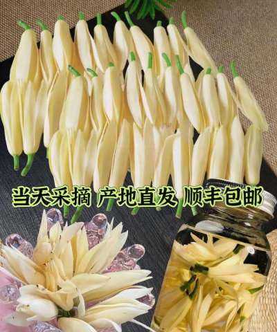 广西的花有哪些 广西的花有哪些