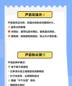 芦荟变成褐色怎么处理 芦荟变成褐色怎么处理