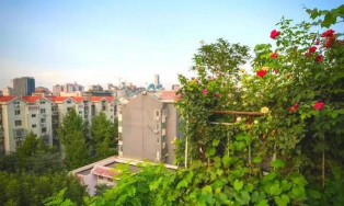 70岁大爷,皇城边上建空中花园,全北京最牛! 70岁大爷,皇城边上建空中花园,全北京最牛!