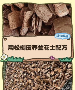 树皮怎么养花 树皮怎么养花