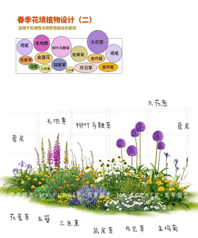 怎么种植花海 怎么种植花海