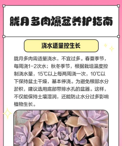 胧月怎么养 胧月怎么养