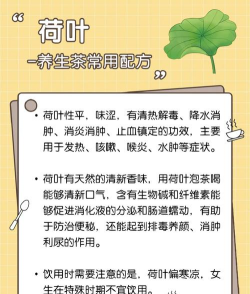 荷叶怎么养 荷叶怎么养