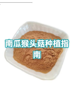 猴头菇种植种子怎么种植 猴头菇种植种子怎么种植