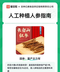 人工种植人参该怎么种植 人工种植人参该怎么种植