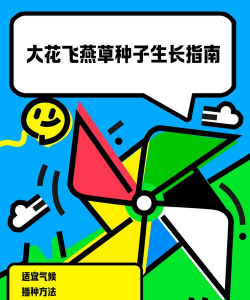 飞燕草种子怎么种 飞燕草种子怎么种