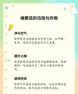 绿萝的好处和坏处 绿萝的好处和坏处
