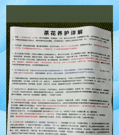 山茶花好养活吗 山茶花好养活吗