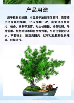 松树盆景用什么肥料好 松树盆景用什么肥料好