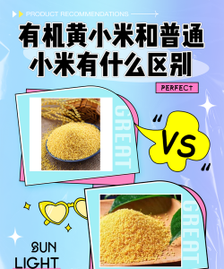 小黄米和小米的区别 小黄米和小米的区别