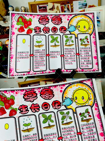 种植园地草莓怎么种植的 种植园地草莓怎么种植的