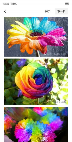 彩虹花有哪些品种 彩虹花有哪些品种