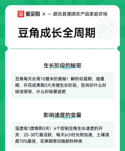 豆角生长期多少天 豆角生长期多少天