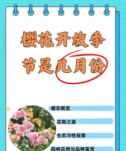 樱花什么时候种植最好 樱花什么时候种植最好
